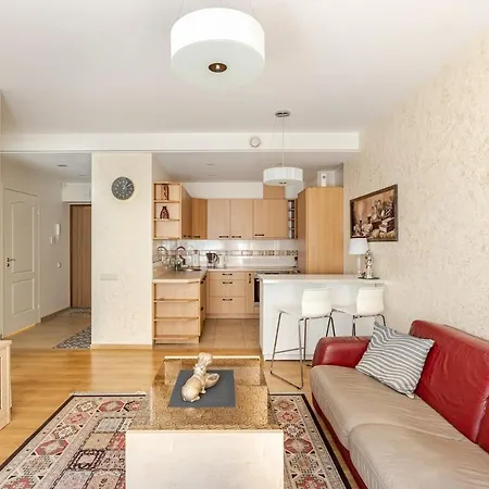 Fully Equipped, Furnished Cozy Flat Center * Wilno