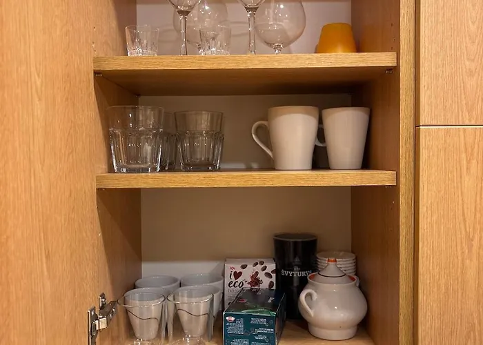 Fully Equipped, Furnished Cozy Flat Center * فيلنيوس