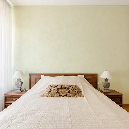 Fully Equipped, Furnished Cozy Flat Center Butas